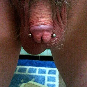 Mein Schwanz endlich mit Piercing Galeriebild