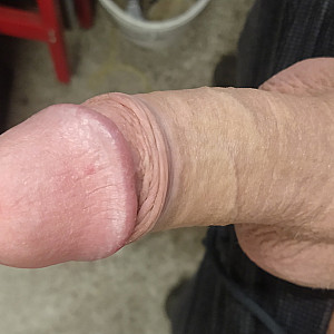 dick and more gallery image