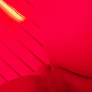 in the sunshower gallery image