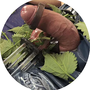 Stinging nettles on balls gallery image