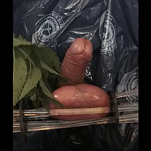 Stinging nettles on balls gallery image