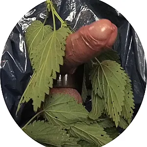 Stinging nettles on balls gallery image