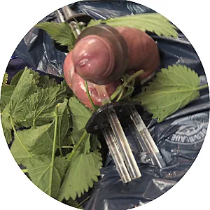 Stinging nettles on balls gallery image
