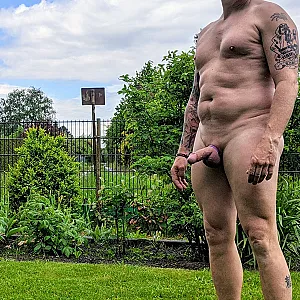 Harter Schwanz im Garten Galeriebild