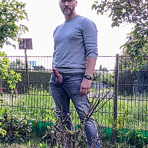Harter Schwanz im Garten Galeriebild