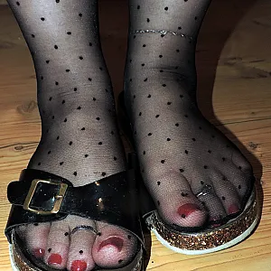Pücktchennylons und Birkis Galeriebild