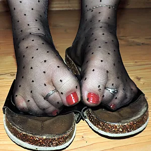 Pücktchennylons und Birkis Galeriebild