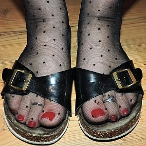 Pücktchennylons und Birkis Galeriebild