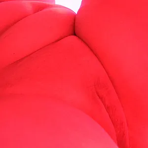 in the sunshower gallery image