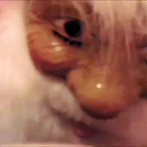 fucked by santa gallery image