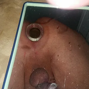 Plugs und Dildo im Arsch Galeriebild