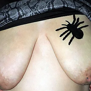 the nasty witch gallery image