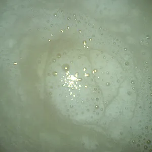 Cum Collection for Cumplay gallery image