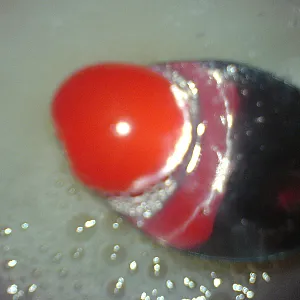Cum Collection for Cumplay gallery image