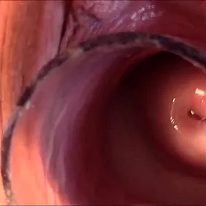 nasty fun gallery image