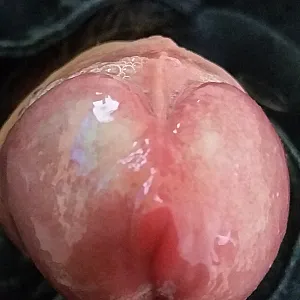 Cock gallery image