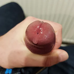 Mein praller Schwanz Galeriebild