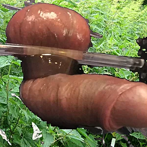 Stinging Nettle on balls gallery image
