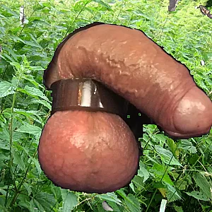 Stinging Nettle on balls gallery image