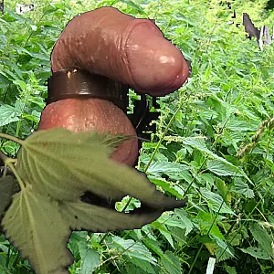 Stinging Nettle on balls gallery image