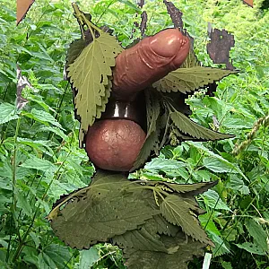 Stinging Nettle on balls gallery image