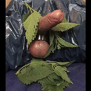 Stinging Nettle on balls gallery image