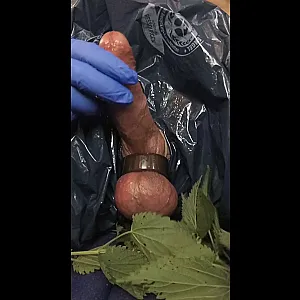 Stinging Nettle on balls gallery image