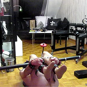 vidcap Papageienschaukel Galeriebild