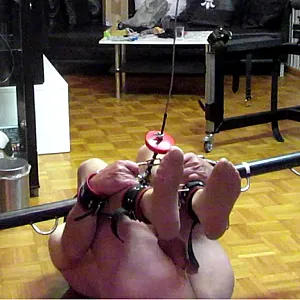 vidcap Papageienschaukel Galeriebild