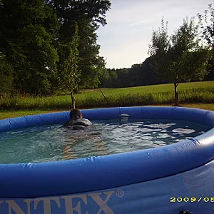 in pool gallery image
