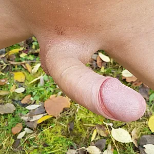 shaved dick gallery image