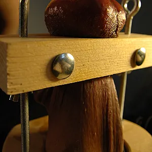 was ich gerne fühle Galeriebild