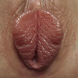 Pur sex gallery image