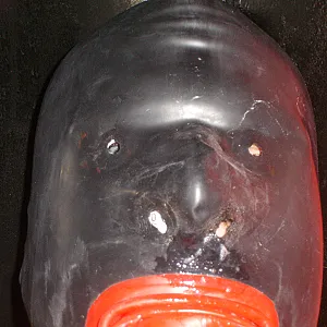 Gummimaul im PK Galeriebild
