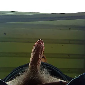 outdoor in the cornfield gallery image