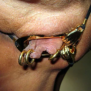 piercings gallery image