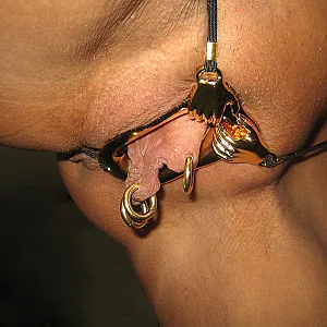 piercings gallery image