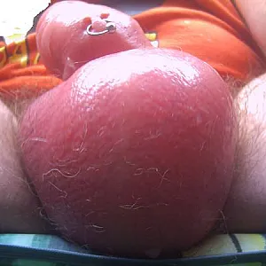 my cock gallery image