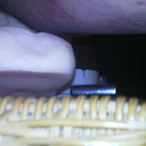 Me gallery image