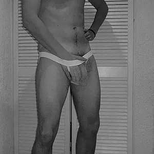 It`s Willy Galeriebild