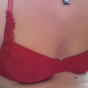 Tittis in rot verpackt Galeriebild