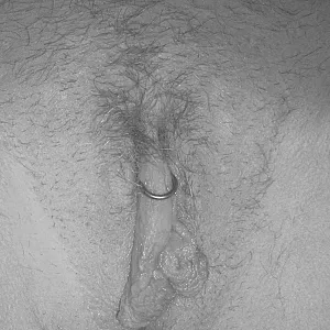 closeup gallery image