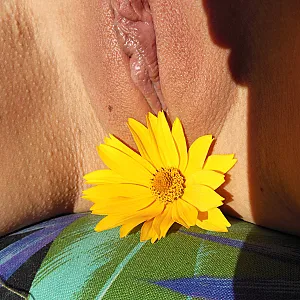My sunshine gallery image