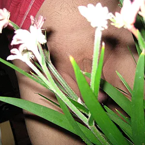 flowerpower (1) Galeriebild