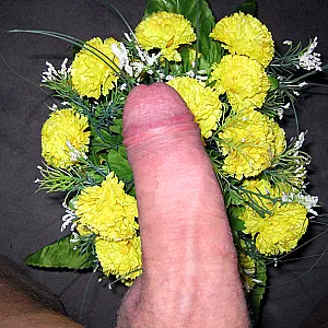 flowerpower (1) Galeriebild