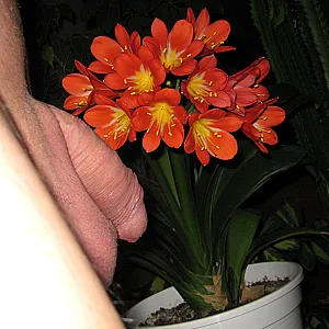 flowerpower (1) Galeriebild