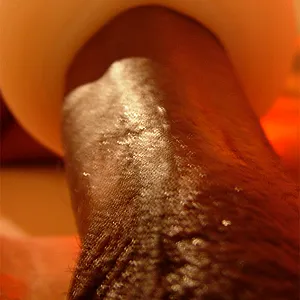 New toy gallery image