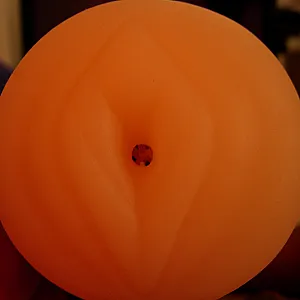 New toy gallery image
