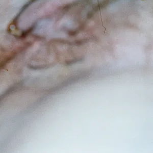 unsere Putzfrau Galeriebild