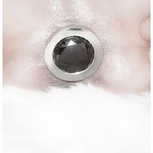Dildogames... Galeriebild